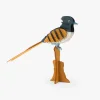 Puzzle 3D Gobe-mouche de paradis Tout autour du monde - Moulin Roty