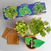 Trio 3 pots Plantes magiques - Radis et Capucine
