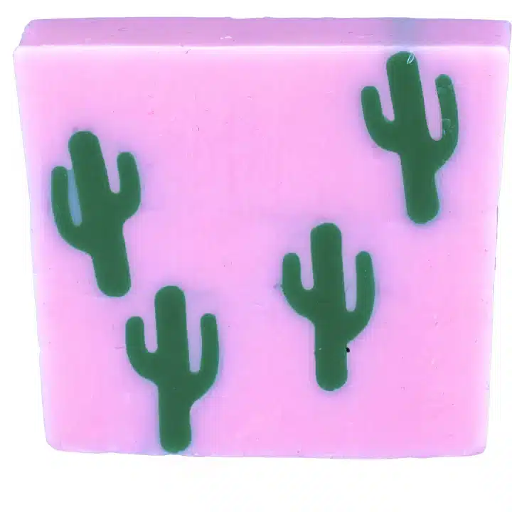 Tranche de savon Cactus makes perfect - Bomb Cosmetics