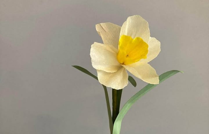 Atelier Fleur en papier