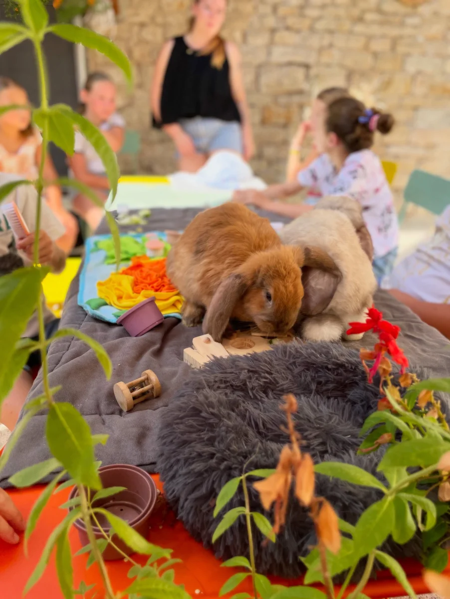 Atelier médiation par l'animal pour les petits de 3 à 6 ans