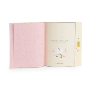 livre de naissance la petite école de danse moulin roty