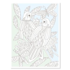 coloriages colouring gallery oiseaux djeco