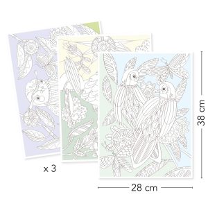 coloriages colouring gallery oiseaux djeco